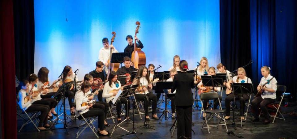 tamburjasi-tekmovanje-mokronog-2018